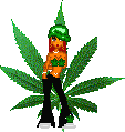 pot.jpg